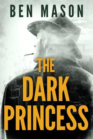 bigCover of the book The Dark Princess by 