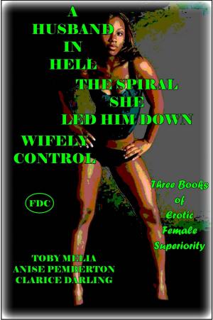 Book cover of A Husband in Hell - The Spiral She Led Him Down - Wifely Control