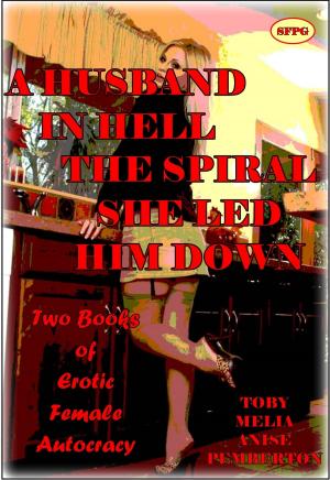 Book cover of A Husband in Hell - The Spiral She Led Him Down