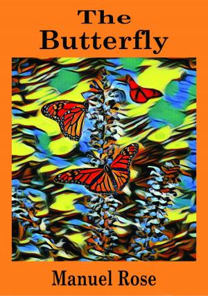 Book cover of The Butterfly - A Kids' Book