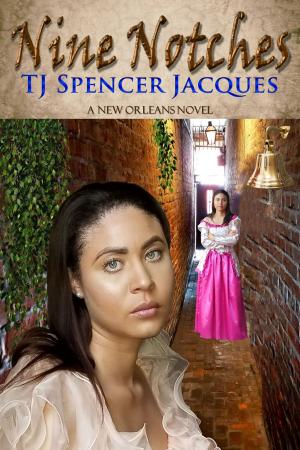 Cover of the book NINE NOTCHES by Tanya Goodwin