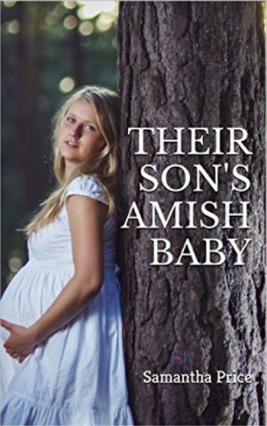 Book cover of Their Son's Amish Baby