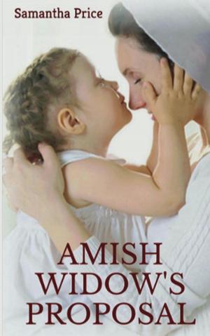 Book cover of Amish Widow's Proposal