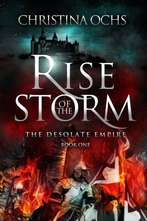 Cover of the book Rise of the Storm by Amanda Kelly