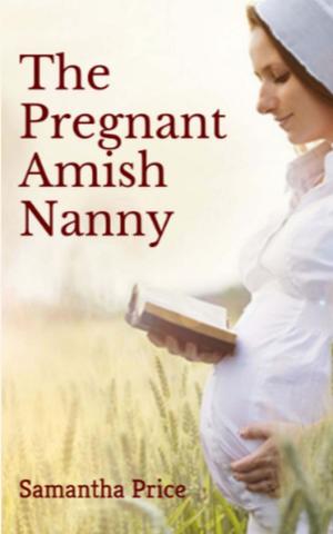 Book cover of The Pregnant Amish Nanny