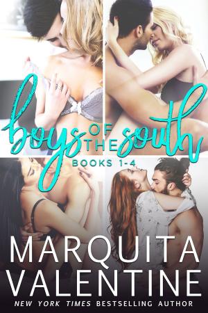 Cover of the book Boys of the South Bundle: Books 1-4 by Marquita Valentine