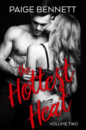 Book cover of The Hottest Heat - Vol 2