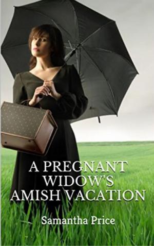 Cover of A Pregnant Widow's Amish Vacation