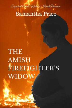 Book cover of The Amish Firefighter's Widow