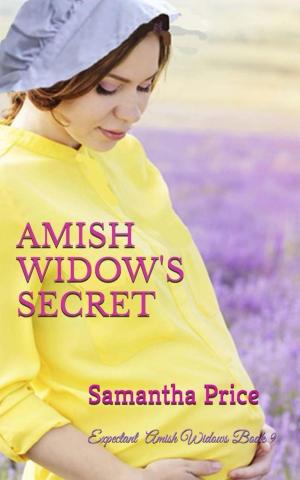 Cover of the book Amish Widow's Secret by Piper Vaughn