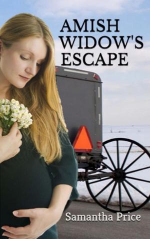 Book cover of Amish Widow's Escape