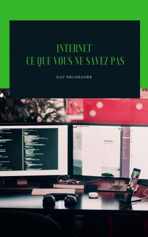 Cover of the book Internet by Guy Deloeuvre