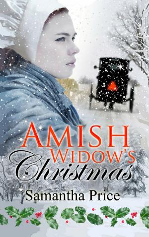 Book cover of Amish Widow's Christmas