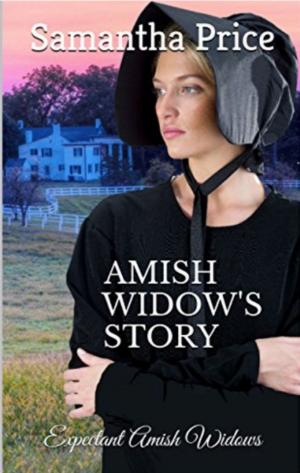 Book cover of Amish Widow's Story