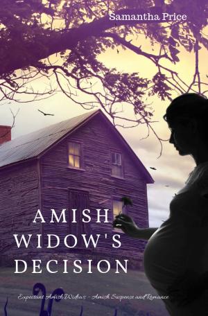 Book cover of Amish Widow's Decision