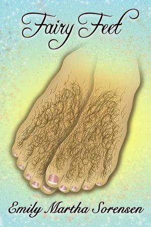 Book cover of Fairy Feet