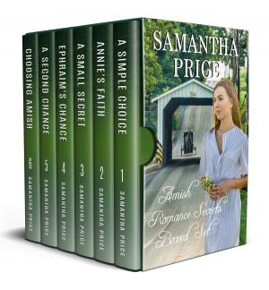 Book cover of Amish Romance Secrets Boxed Set