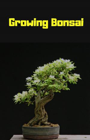 Cover of Growing Bansai