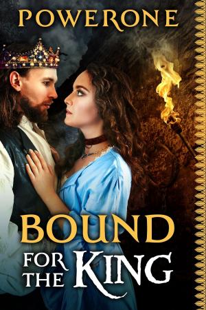 Book cover of Bound for the King