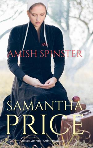 Book cover of The Amish Spinster