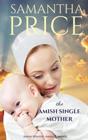 Cover of the book The Amish Single Mother by DJ Small