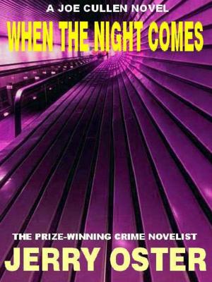 Book cover of When the Night Comes