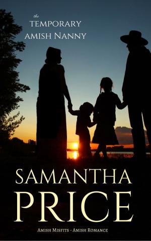 Cover of the book The Temporary Amish Nanny by Tori Phillips