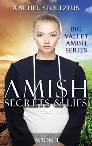 Book cover of Amish Secrets and Lies