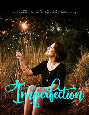 bigCover of the book The Joy of Imperfection by 