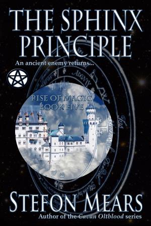 Cover of the book The Sphinx Principle by Tom Raimbault