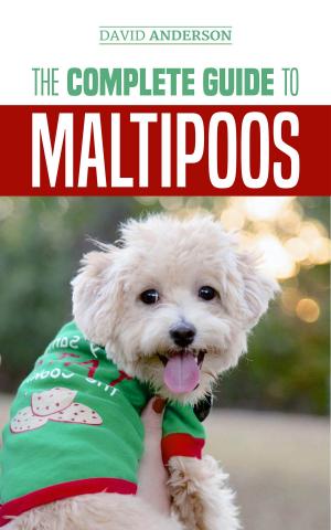 Book cover of The Complete Guide to Maltipoos