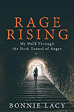 Cover of the book Rage Rising: My Walk Through the Dark Tunnel of Anger by Brigitte Lessard-Deyell