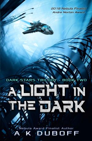 Cover of the book A Light in the Dark by Michael Canfield