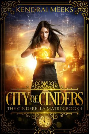 Cover of the book City of Cinders by Donovan Deleware
