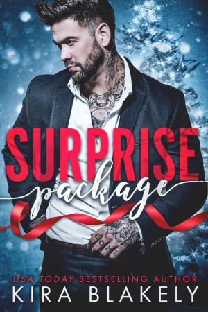 bigCover of the book Surprise Package by 