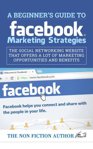 Book cover of A Beginner’s Guide to Facebook Marketing Strategies