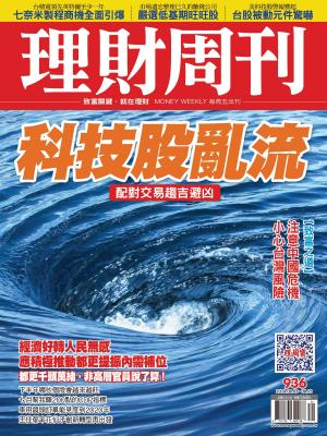 Cover of the book 理財周刊936期：科技股亂流 by Matthew D. Smith