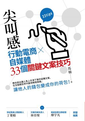 Cover of the book 尖叫感：行動電商、自媒體33個關鍵文案技巧 by 林廣維