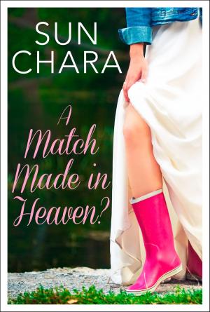Cover of the book A Match Made in Heaven? by Mary MacCracken