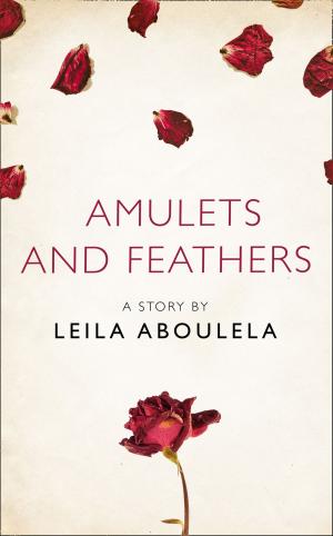 Cover of the book Amulets and Feathers: A Story from the collection, I Am Heathcliff by Annie Groves