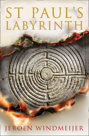 Cover of the book St Paul’s Labyrinth by Hannah Mary McKinnon