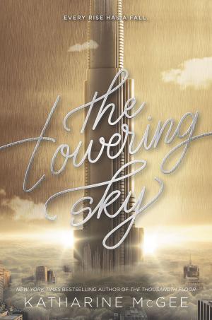 Cover of the book The Towering Sky by Jennifer Li Shotz