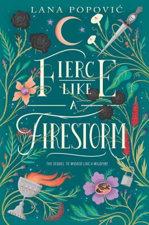 Cover of the book Fierce Like a Firestorm by Mindy McGinnis