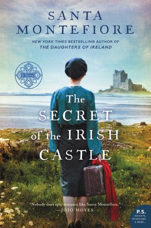 Book cover of The Secret of the Irish Castle