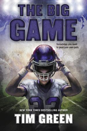 Cover of the book The Big Game by Matt Stanton