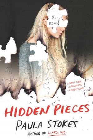 Book cover of Hidden Pieces