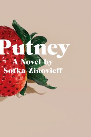 Cover of the book Putney by John Faunce