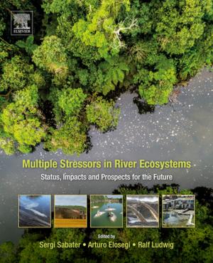 Cover of the book Multiple Stressors in River Ecosystems by A. Gunasekaran