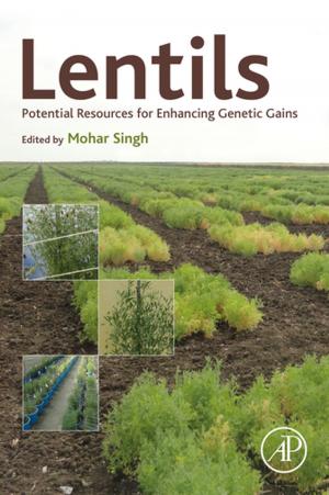 bigCover of the book Lentils by 
