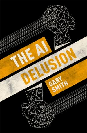 bigCover of the book The AI Delusion by 
